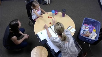 Bayley example: inhibition