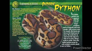 Indian python sound effects screenshot 5