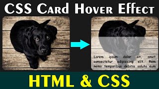 How to Create Cards Design Using HTML and CSS