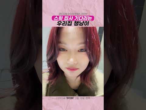 [#스테이씨] 라이브 켜기 전 귀여운 챙냥이 🐱-썸네일