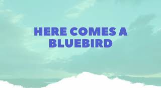 Here Comes a Bluebird