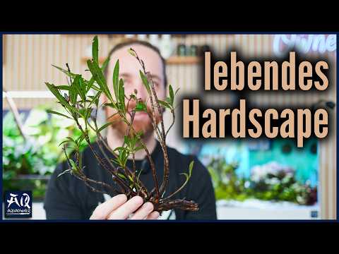 Ich habe super seltene Aquarium Pflanzen bekommen! | AquaOwner