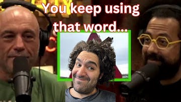 Reggie Watts and Joe Rogan Talk NONSENSE About Socialism