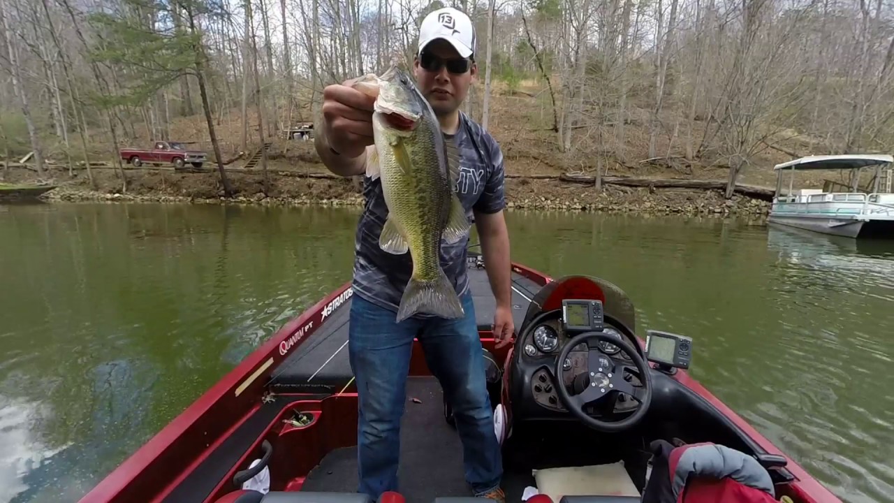 Prespawn Bass Fishing on Smith Mountain Lake YouTube