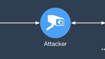 Selective DNS Cache Poisoning Attack