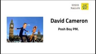 DAVID CAMERON - FROM THE STEVE NALLON VOICE BOX