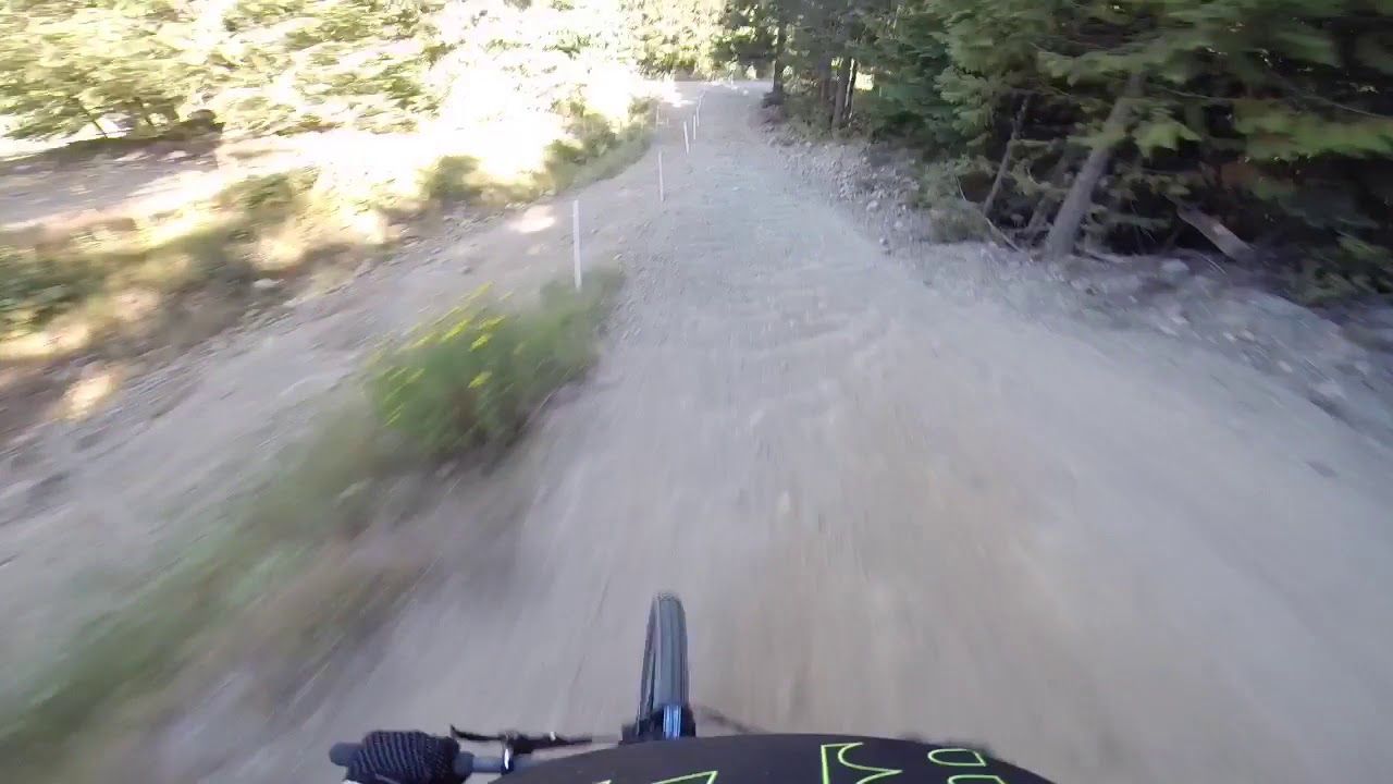 Look out for bears on Whistler A-line