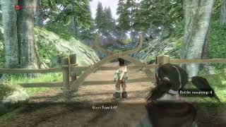 Fable 2 playthrough #7