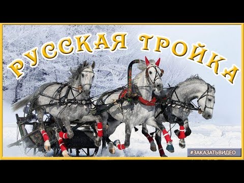 ❄️ Зима Русская тройка❄️ Футаж для видеомонтажа ❄️