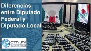 Diferencias entre un Diputado Federal y Diputado Local