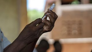 Paludisme : le Ghana approuve un nouveau vaccin développé à Oxford