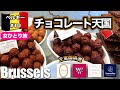 【🇧🇪ベルギー#10】女1人旅 | 本場のベルギーチョコ巡り🍫王室御用達＆人気店7店舗👑世界遺産の建築散歩も！