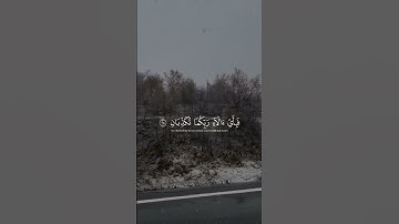 كل من عليها فان ويبقى وجه ربك | تلاوة مؤثرة تهز القلوب♡゙ #قرآن #تلاوة  #الدنيا_زائلة_ويبقى_وجه_الله