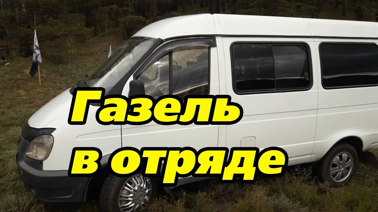 Марат борода про газель