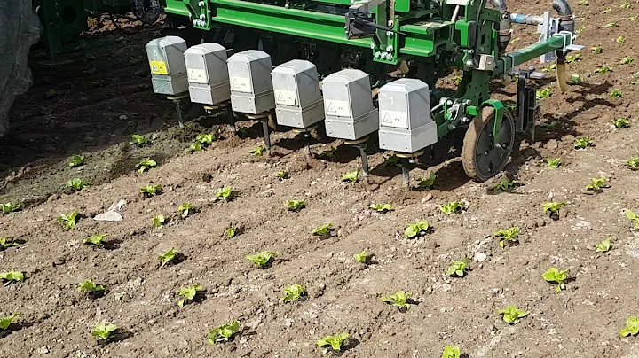 Garford InRow Weeder