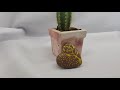 Cactus pot, Handmade concrete cactus pot