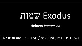 Biblical Hebrew Live immersion - Exodus 9:1-12 all levels of Hebrew welcome -Rabbi teaches Exodus