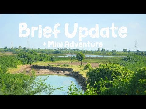 Ahmedabad to Palitana Bus (Brief Update) 🇮🇳 | Solo Travel India | Ahmedabad Travel Vlog (Ep. 19)