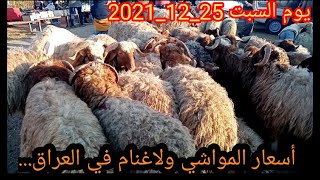 بورصة أسعار المواشي ولاغنام في العراق جوبة حلال بغداد في التأجي يوم السبت 25_12_2021