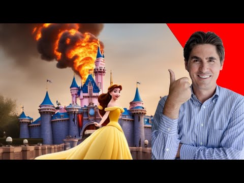 Video: Het W alt Disney-aandele ooit geskei?