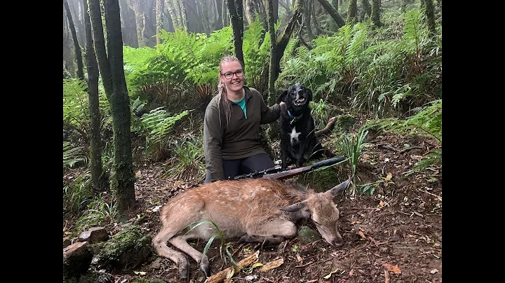 Browning Trail Camera Retrieval | Ruahine Ranges B...