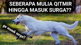 QITHMIR, ANJING YANG BAKALAN MASUK SURGA