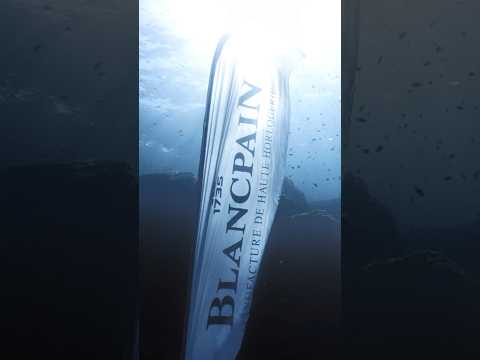 Fifty Fathoms 70th