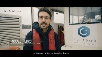 SEA.AI Insight - On board with SEA.AI Brain