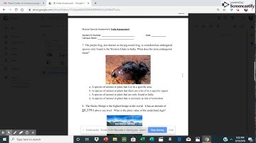Pre and Post Assessment Tutorial