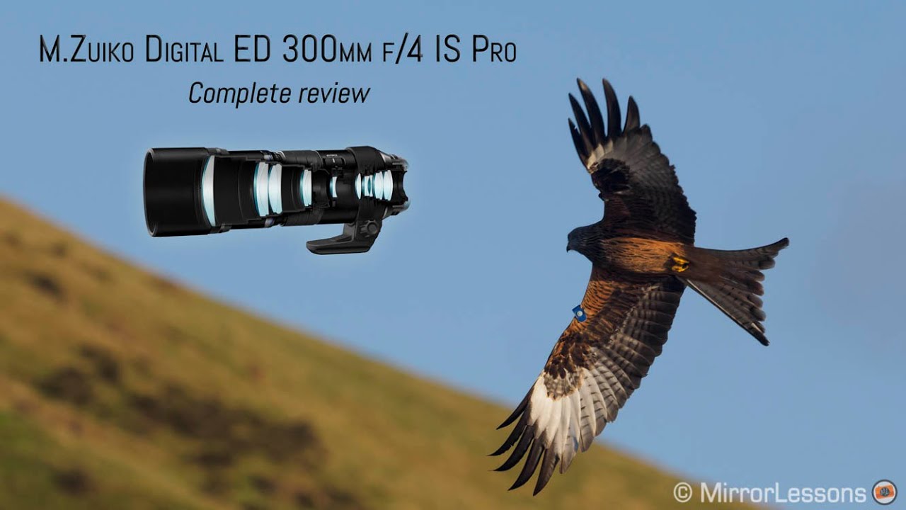 Olympus M.Zuiko 300mm f/4 Pro Review - YouTube