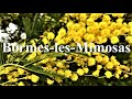 Bormes les mimosas village du var  french riviera  cte dazur