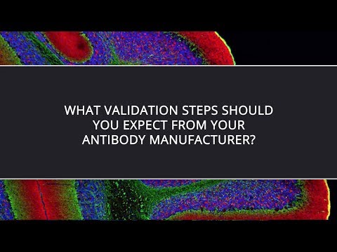 What Validation Steps