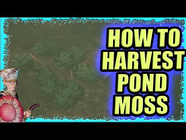 How to Harvest Pond Moss Grounded: Quick & Effective Tips