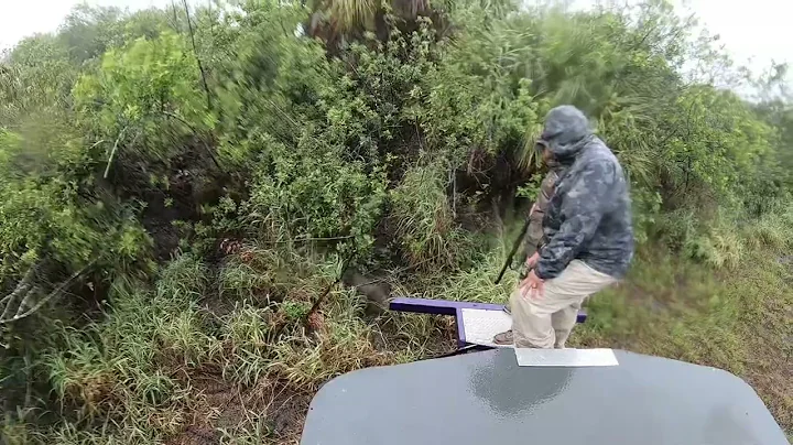 Hog hunting during a tropical storm
