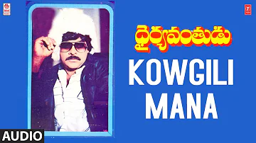 Kowgili Mana Song | Dhyryavanthudu Movie | Chiranjeevi,Vijayashanthi | Ramesh Naidu | Telugu Songs
