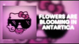 Funk edits. (Edit adeou).playlist edits funk