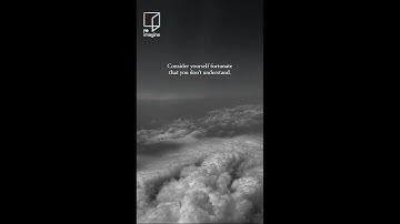 If you ever struggle to understand why someone