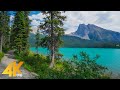 2 hrs virtual walk around emerald lake yoho national park  4k nature walking tour  birds chirping