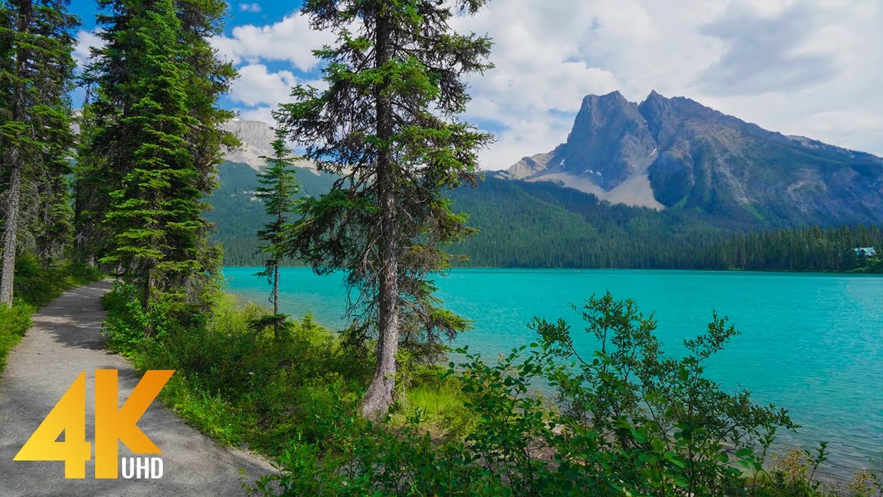 2 HRS Virtual Walk around Emerald Lake  Yoho National Park - 4K Nature Walking Tour   Birds Chirping