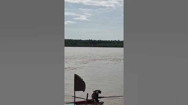 Godavari is an Emotion #andhrapradesh #konaseemadistrict #travel #travelindia #godavari #shorts