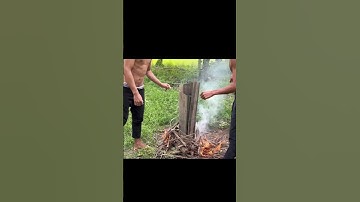 Cá lóc nướng trui món ăn dân dã miền tây#calocnuongtrui