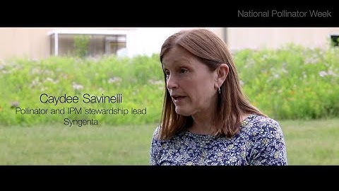 Faces of Stewardship: Pollinator Expert