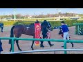 【G2】弥生賞ディープインパクト記念 ファウストラーゼン 杉原誠 グランプリロード