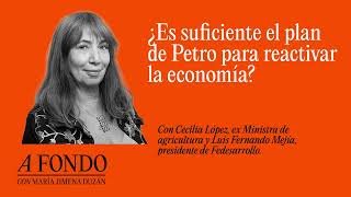 ¿Es suficiente el plan de Petro para reactivar la economía?