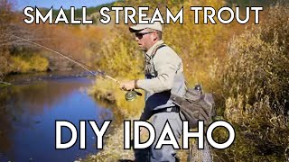 Small Stream Trout Fishing | Do-It-Yourself Idaho