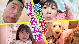 家で犬と「かくれんぼ」やったら～まさかの結果に！ - はねまりチャンネル