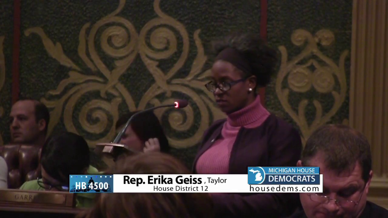 embryolisse lait-crème concentré Rep. Erika Geiss Opposes HB 4500