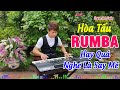 Liên Khúc Nhạc Hòa Tấu Rumba - Hay Quá Nghe Là Say Mê - Organ Anh Quân Đánh Đàn Trực Tiếp