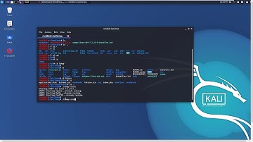 2. Start Xampp in Kali Linux 2019.4 for Wordpress Setup || Localhost