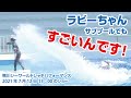 ラビーちゃん、サブプールでも、めっちゃ水かけてました！【2021年7月12日13：00のショー】Orca performance, Kamogawa Sea World, Japan